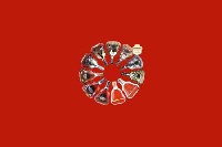 泗洪回收红酒